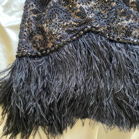 Sherri Hill Black Lace Beaded Feather Trim Mini Size 2 Party Prom Sweetheart - Picture 2 of 9